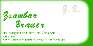 zsombor brauer business card